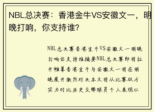 NBL总决赛：香港金牛VS安徽文一，明晚打响，你支持谁？